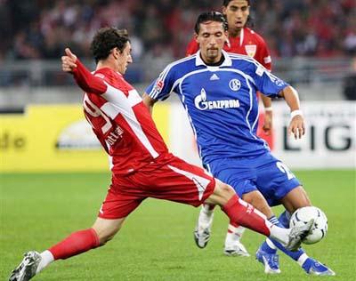 以其独特的 以其独特的